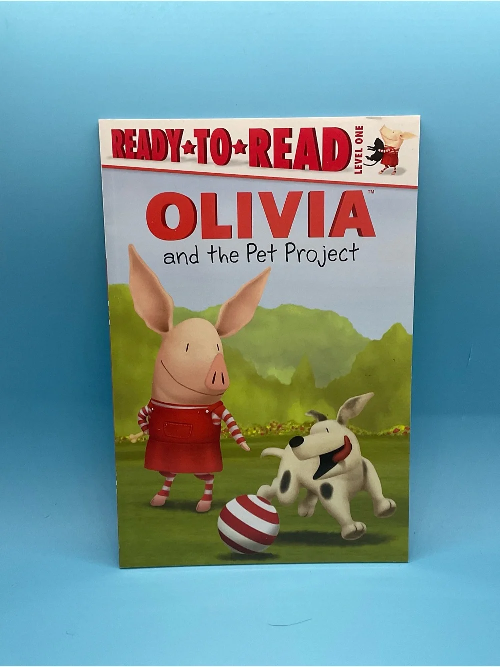 Ready To Read Book Bundle Level 1, 2 & 3 NEW HC & SC